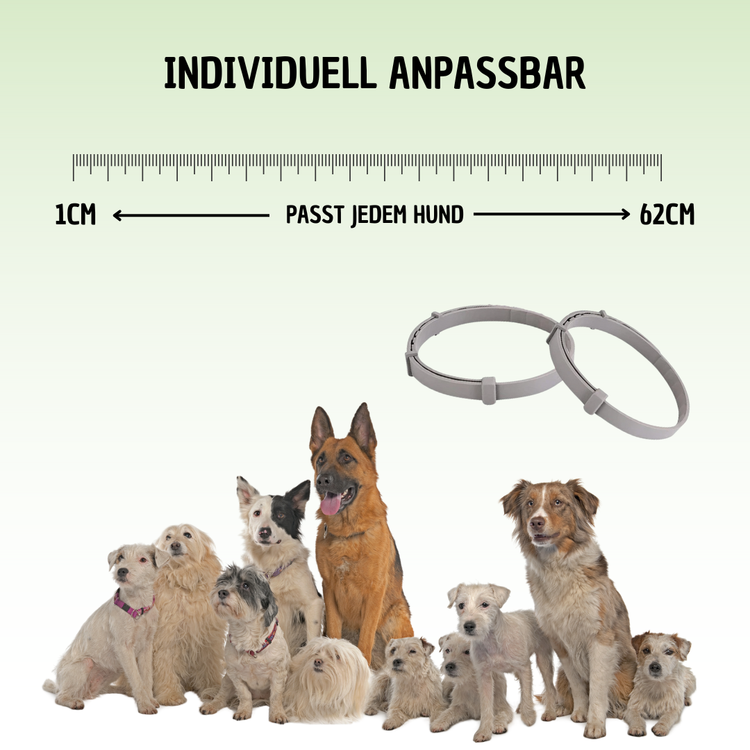 BellaProtect - Anti-Zecken Halsband