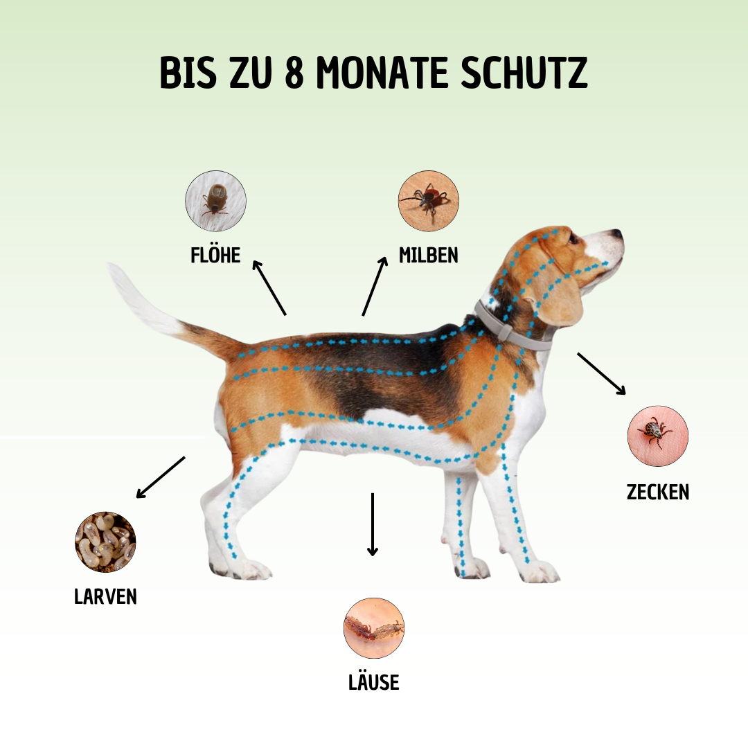 BellaProtect - Anti-Zecken Halsband