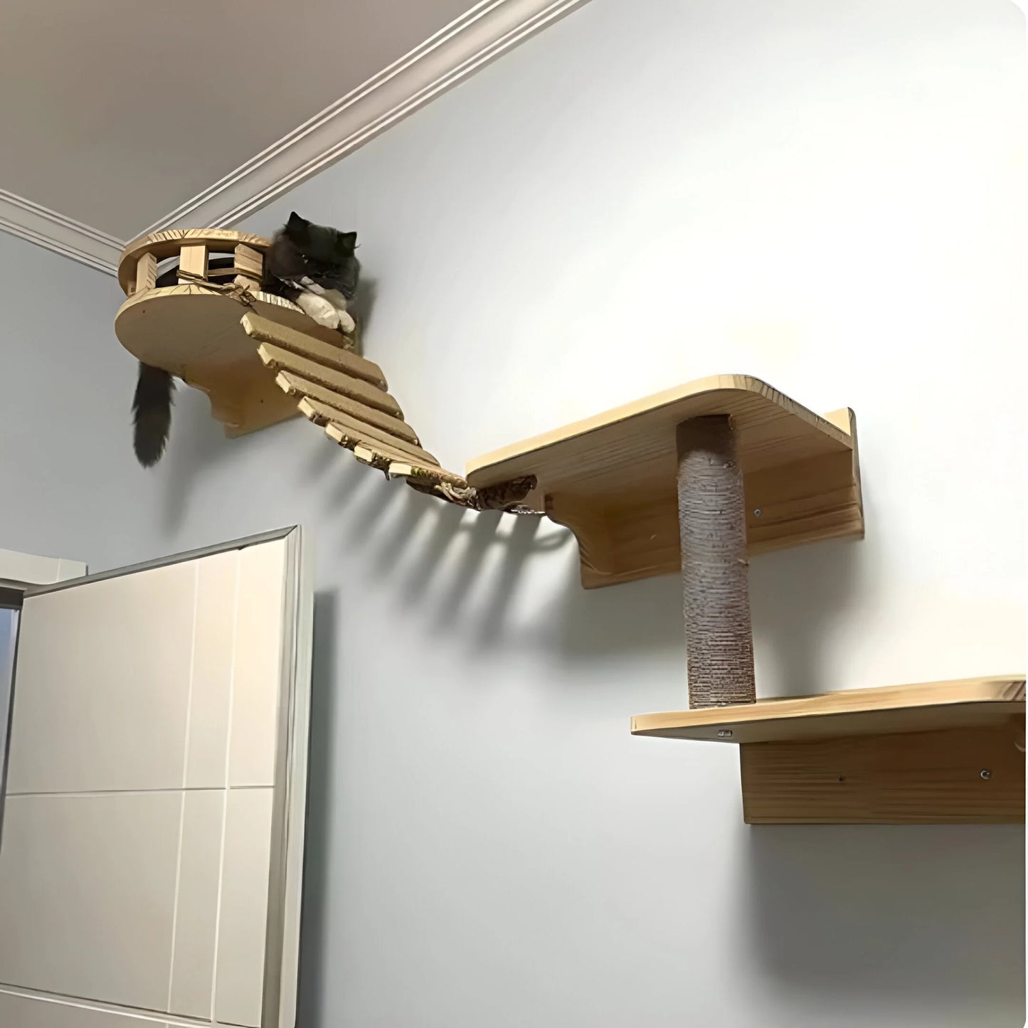 PurrBridge – Stabile Sisal-Hängebrücke