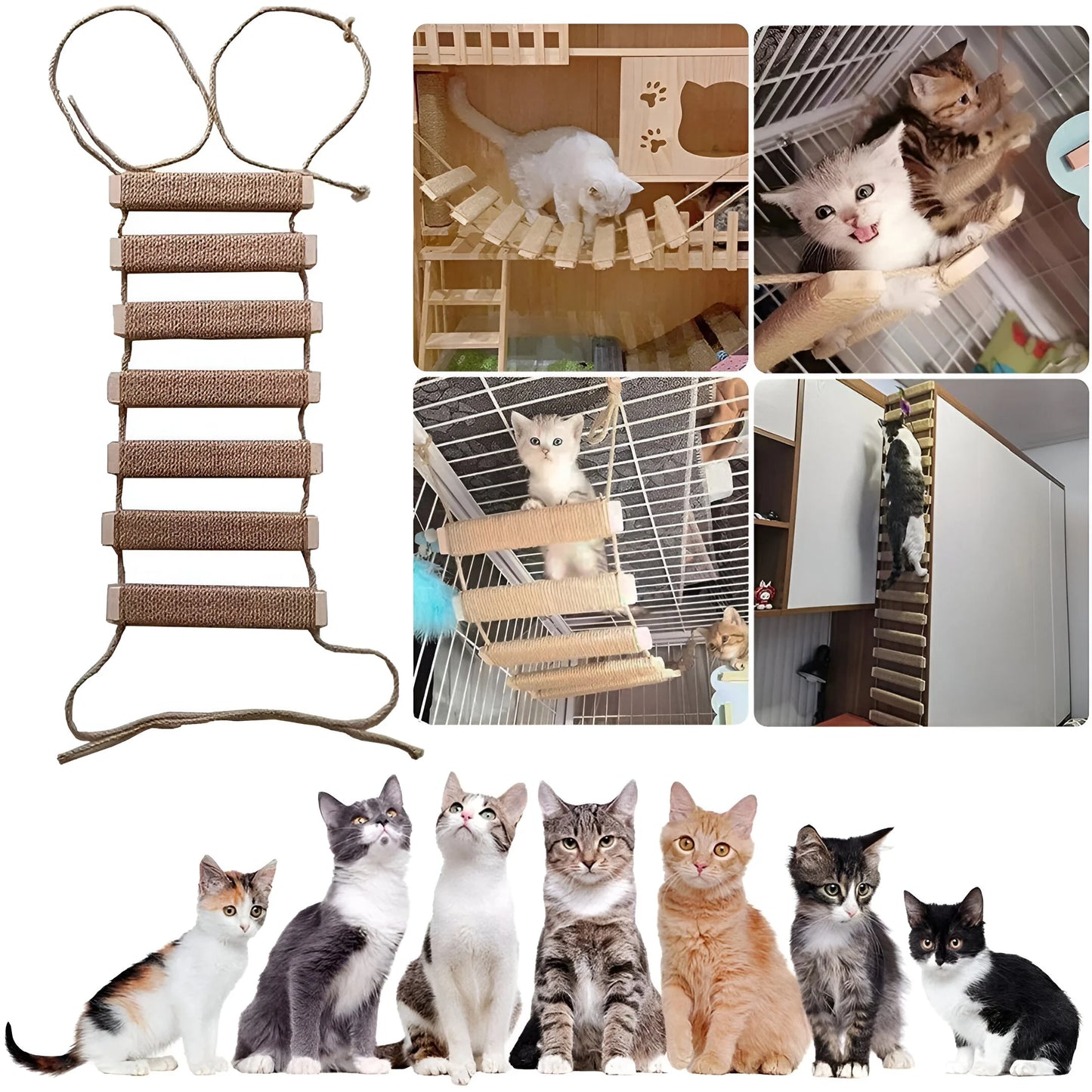 PurrBridge – Stabile Sisal-Hängebrücke