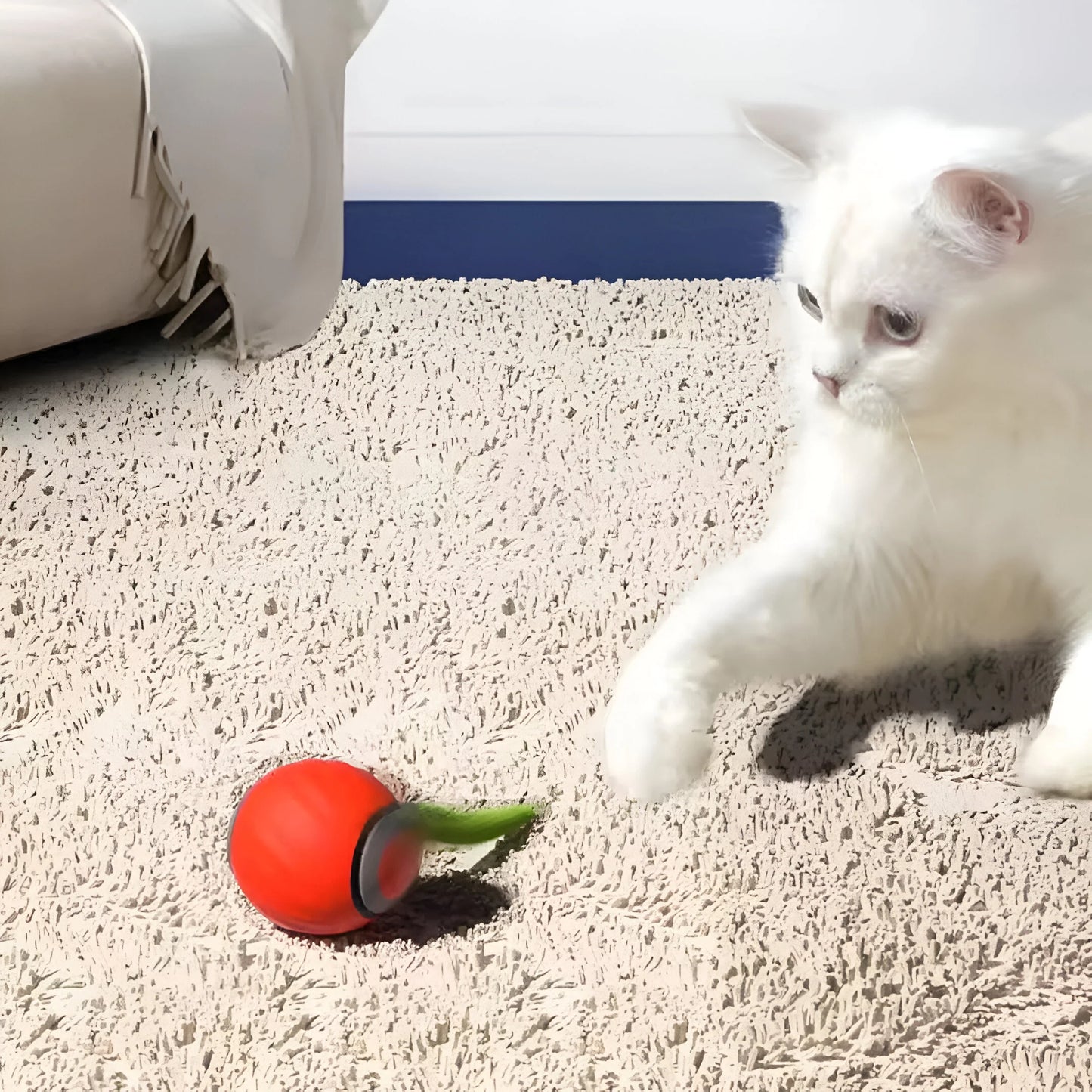 HuntBall – Rollender Katzen-Spielball mit Feder