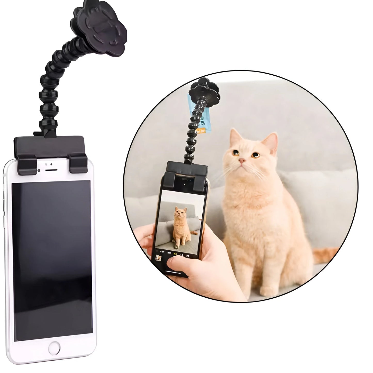 PawSnap - Perfekte Haustier-Selfies
