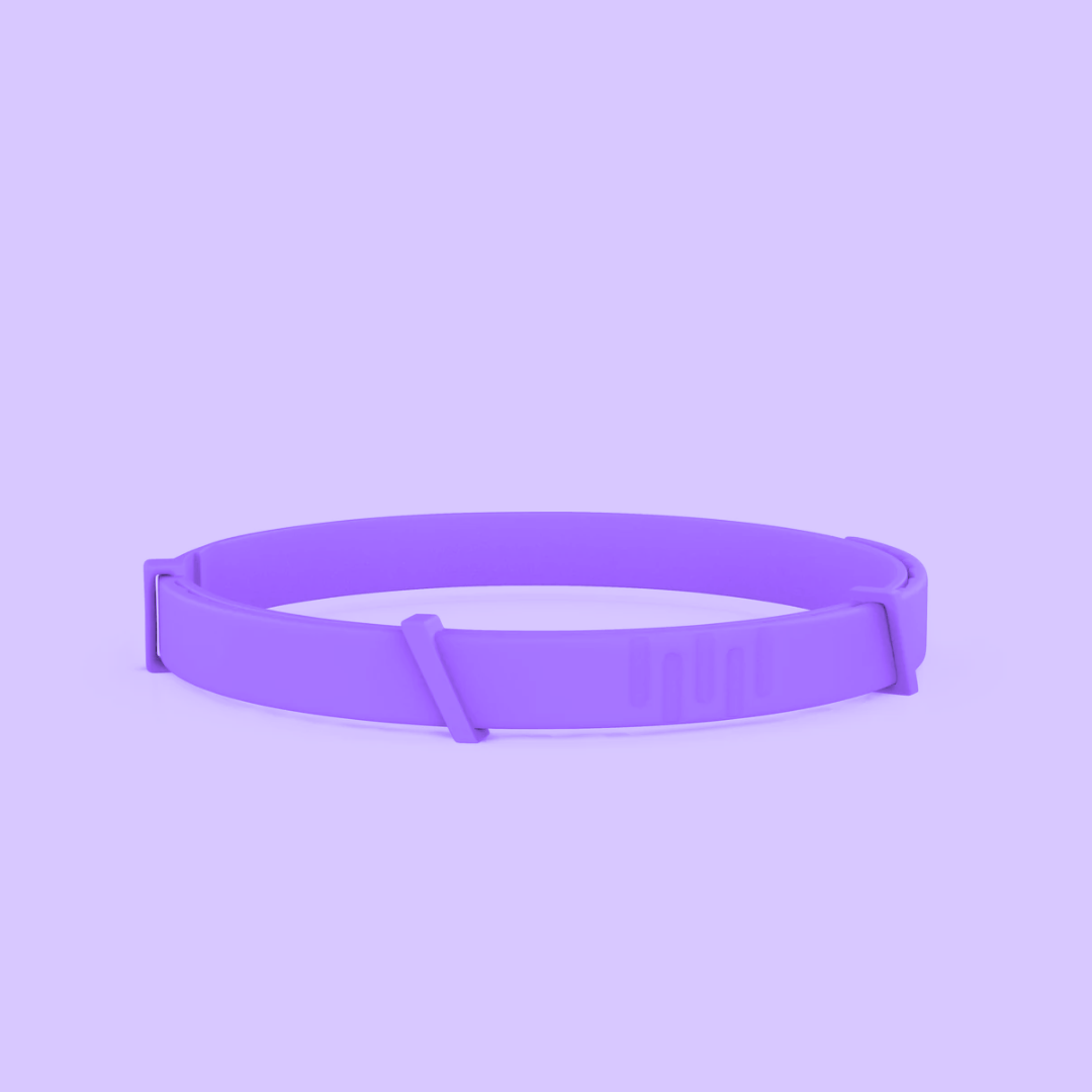 Anti Floh- und Zeckenhalsband