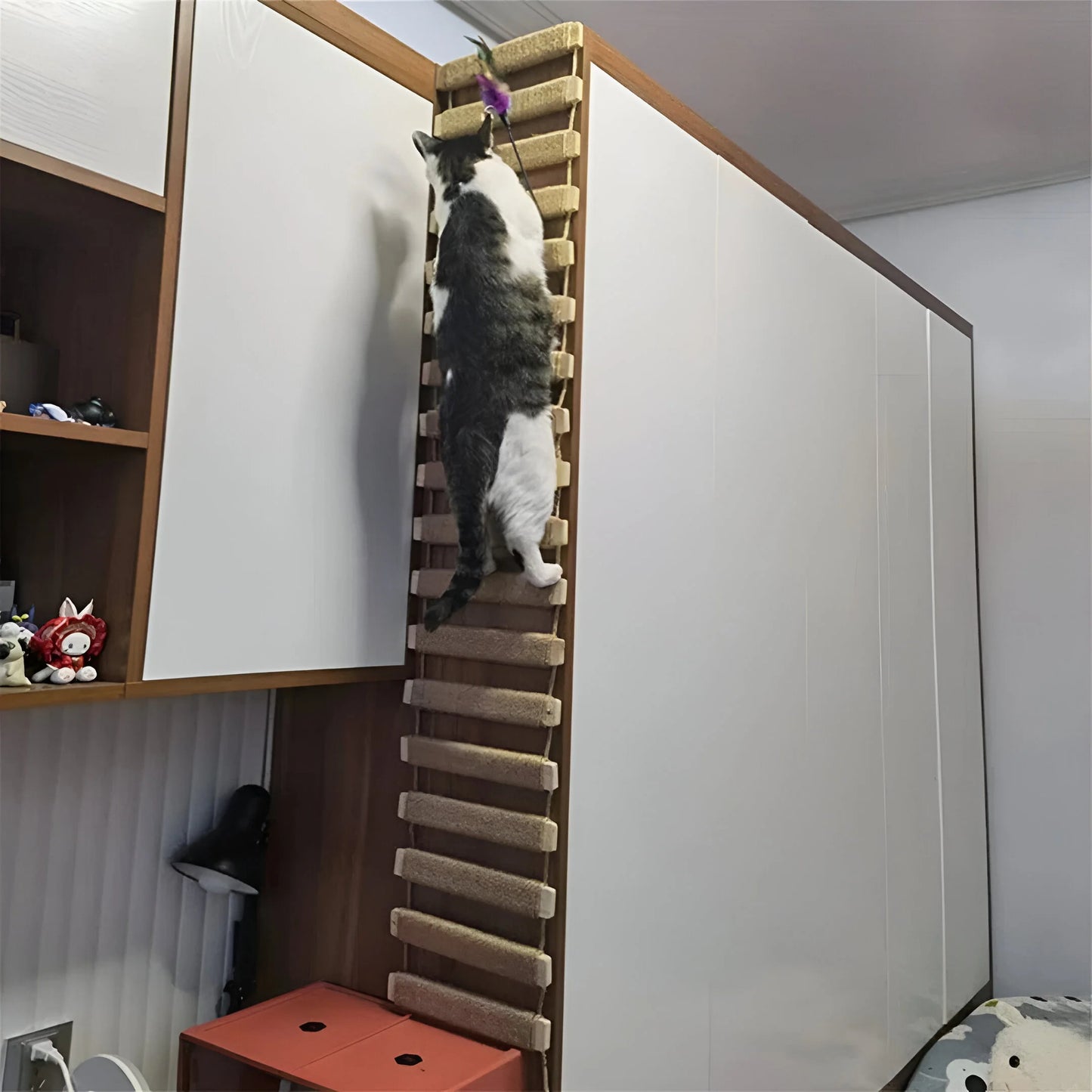 PurrBridge – Stabile Sisal-Hängebrücke