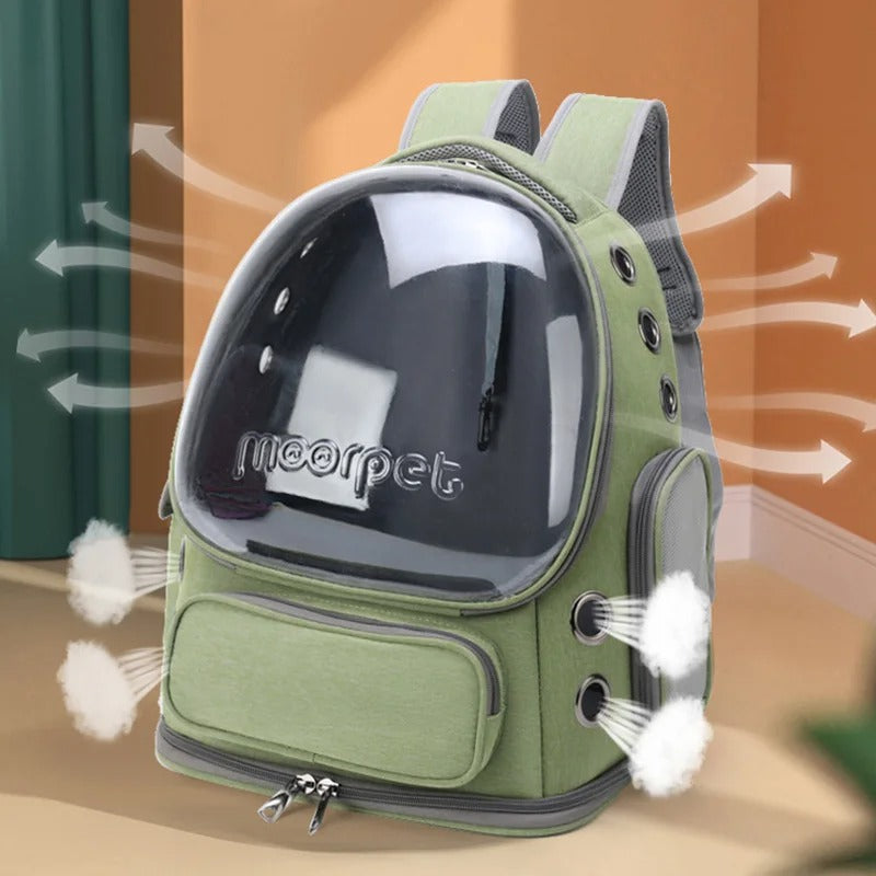 Catventure Pack: Outdoor Reiserucksack Katzen