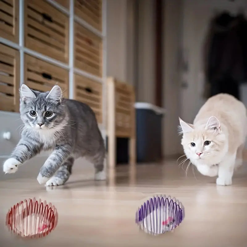 JagdSpirale – Der ultimative Fangspaß für Katzen