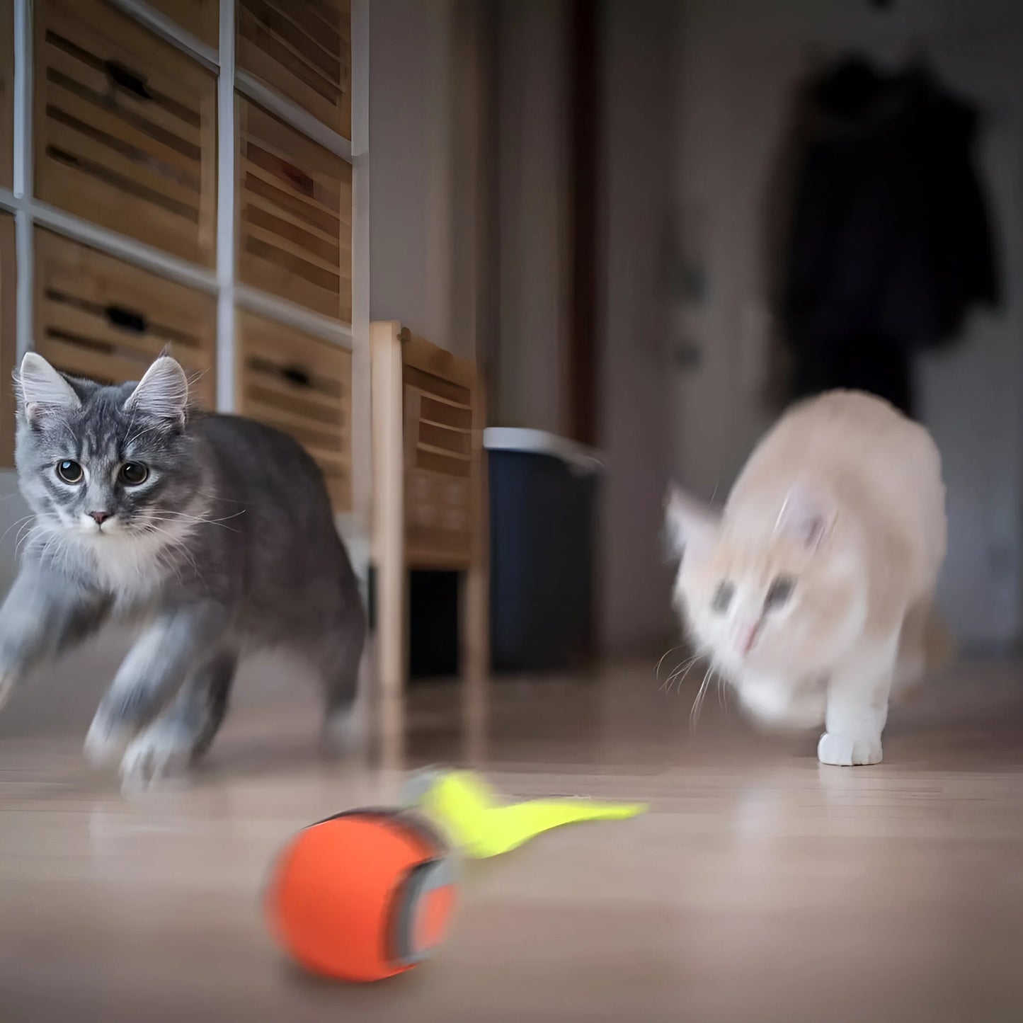 HuntBall – Rollender Katzen-Spielball mit Feder