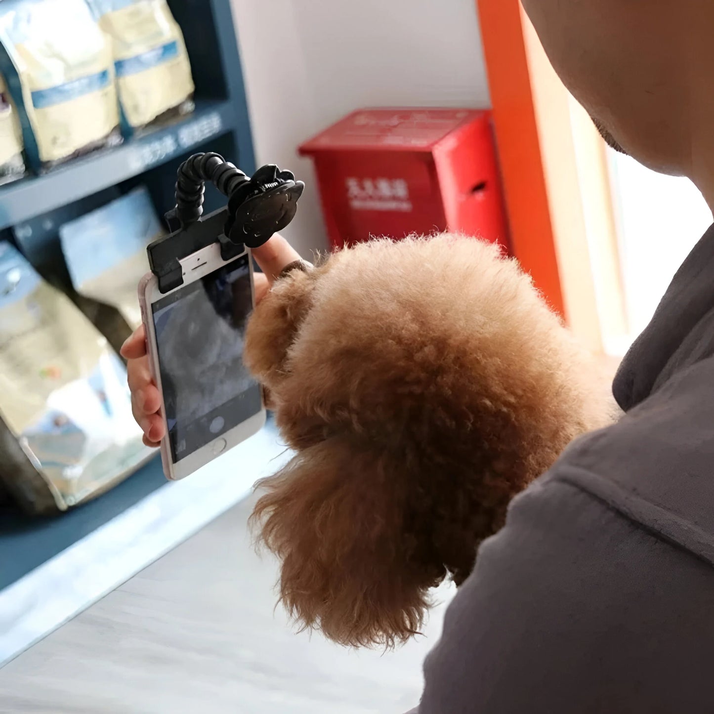 PawSnap - Perfekte Haustier-Selfies