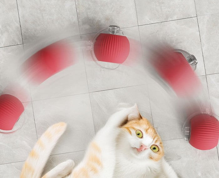 Balli - smart und leuchtend
