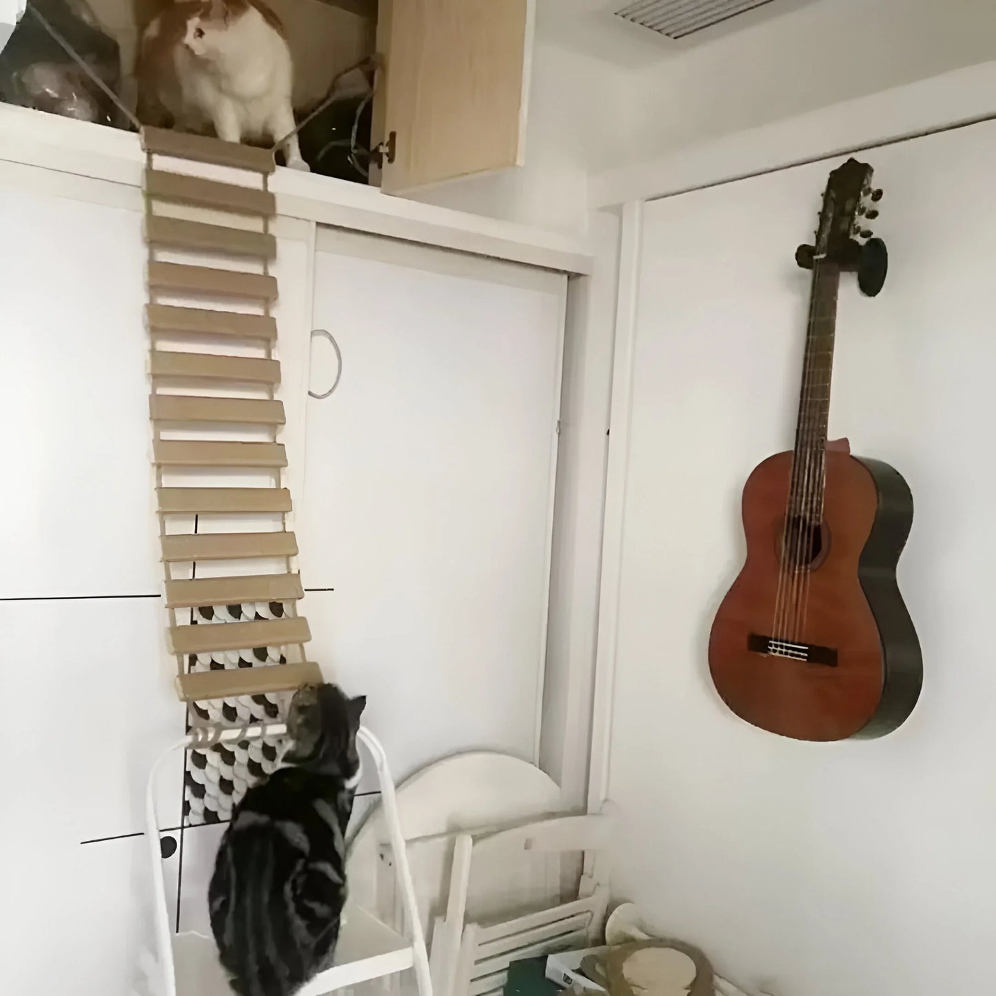 PurrBridge – Stabile Sisal-Hängebrücke