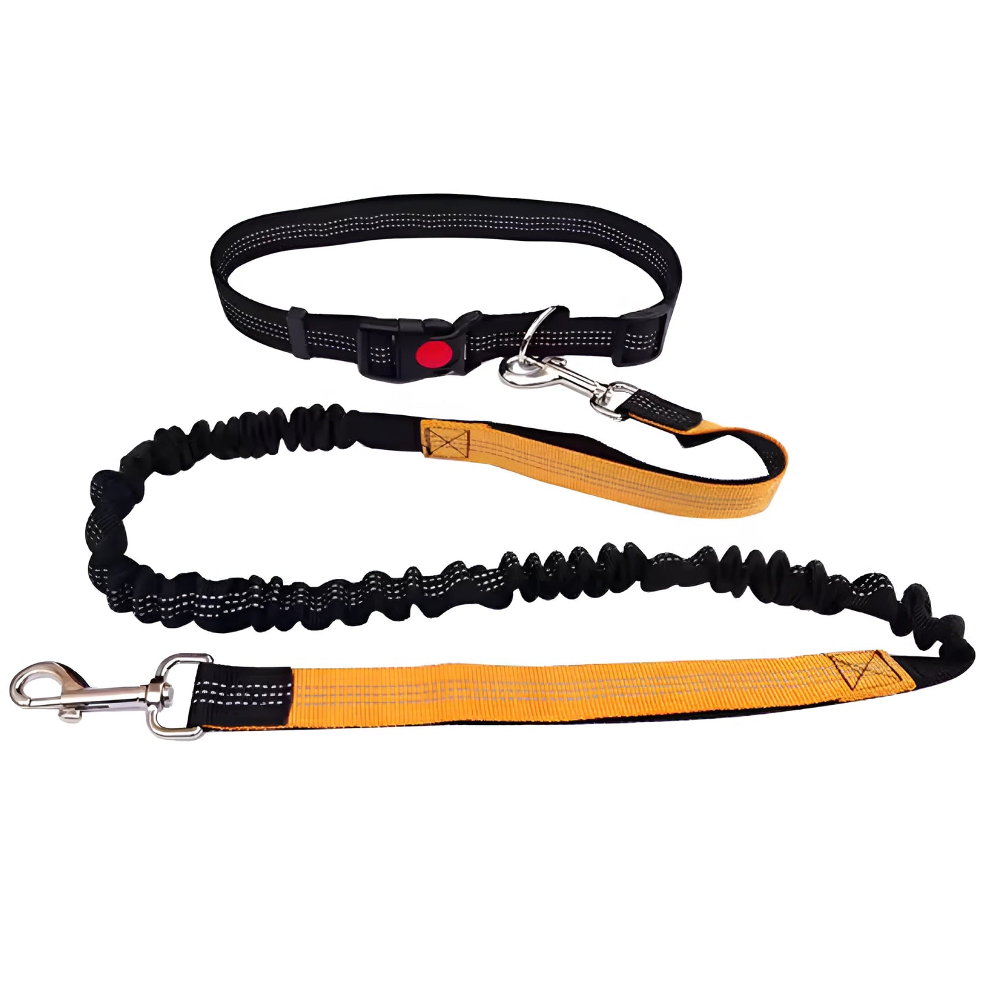 Freihändige Hundeleine