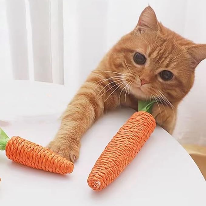 KratzKarotte - Sisal Spielzeug für Katzen