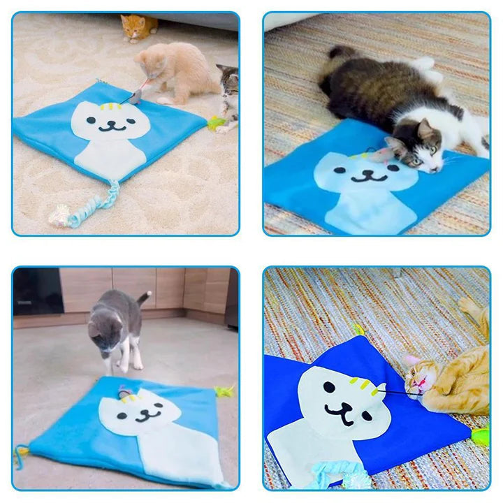 PurrMat - Interaktive Spielmatte mit Katzenminze