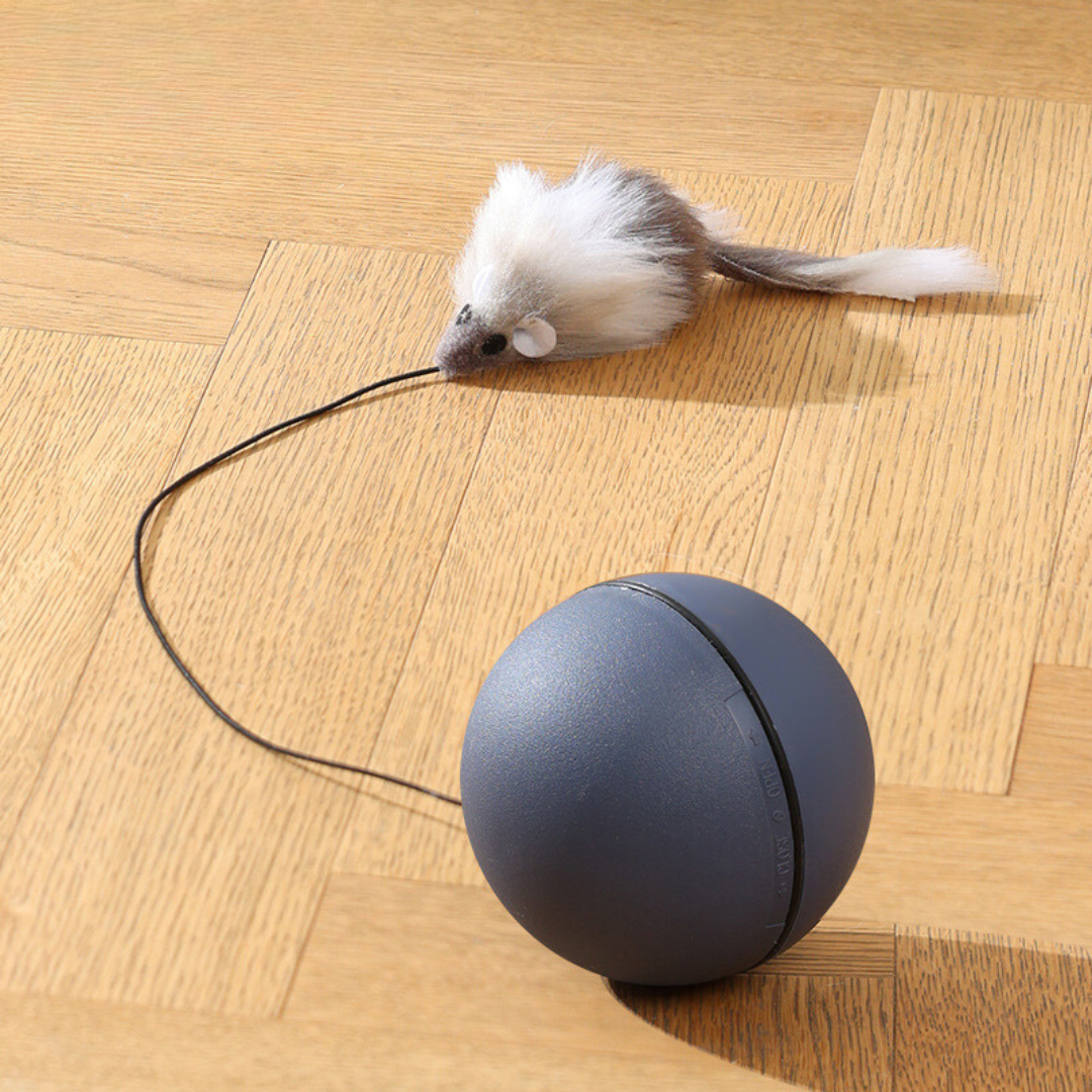 TurboTail - Rollender Spaß für jagdfreudige Katzen