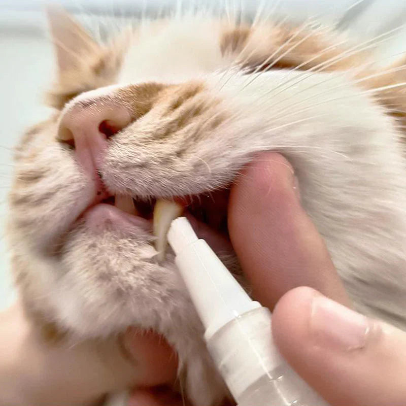 DentalStick - Zahnpflege für Hunde