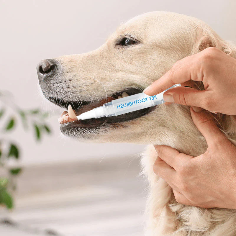 DentalStick - Zahnpflege für Hunde