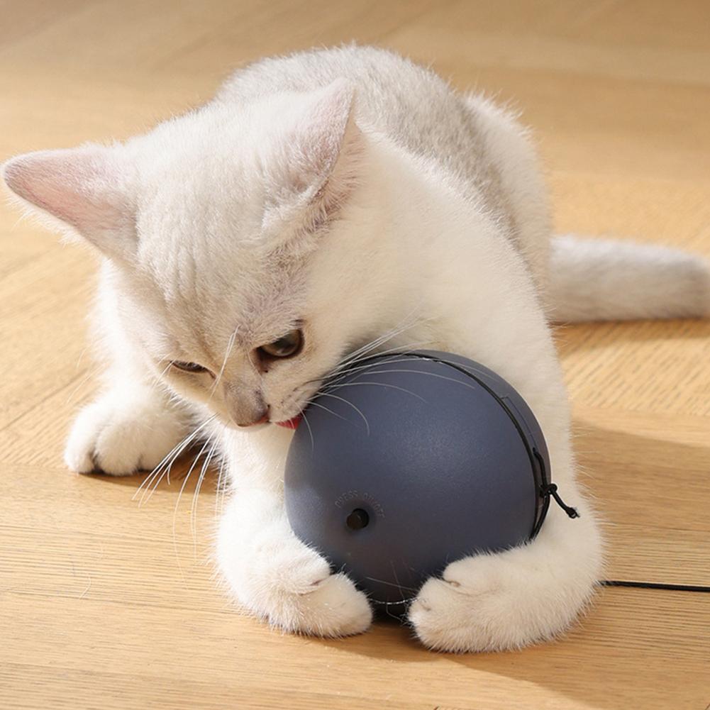 TurboTail - Rollender Spaß für jagdfreudige Katzen