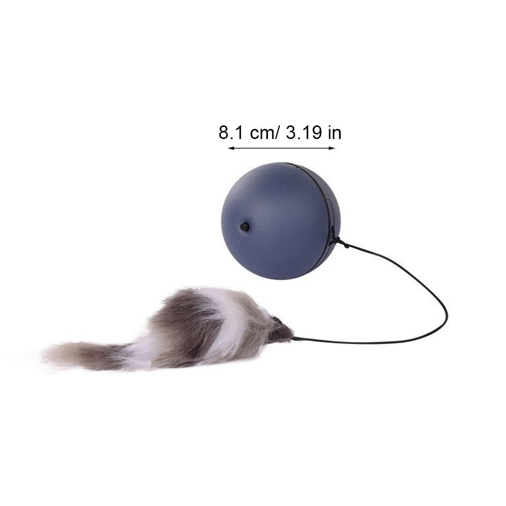 TurboTail - Rollender Spaß für jagdfreudige Katzen