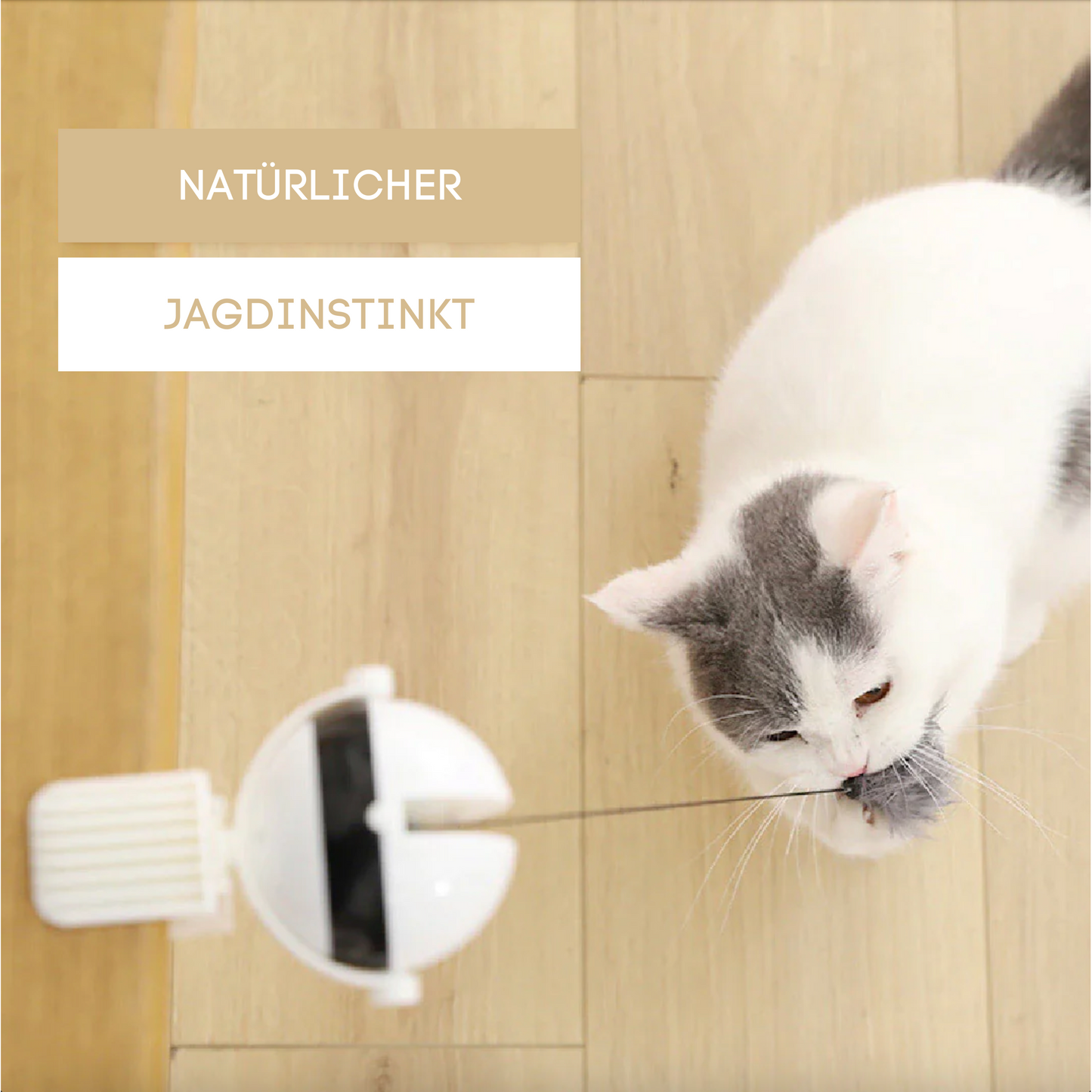Katzen Lifting Spielzeug