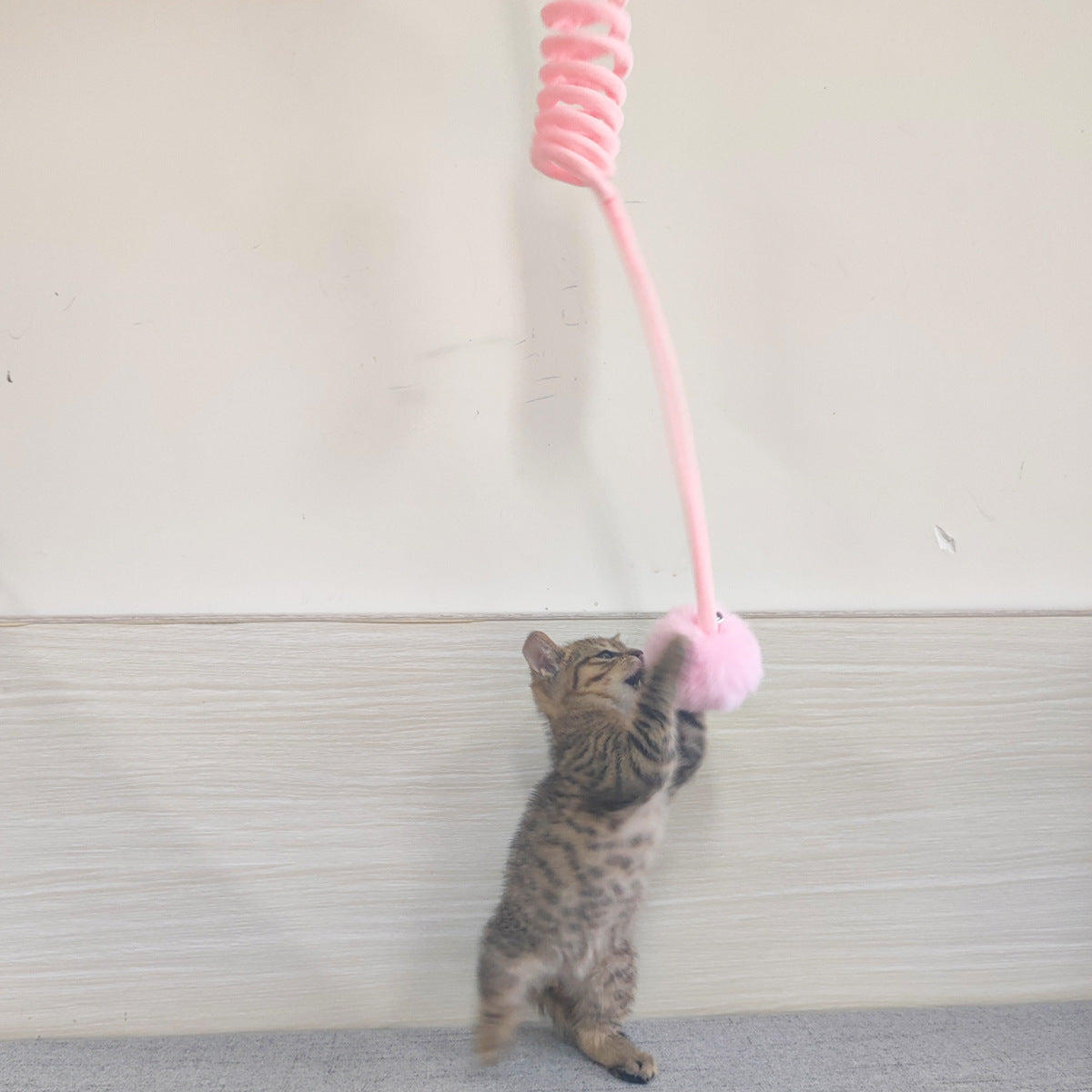 Interaktives Katzen Spiral Spielzeug