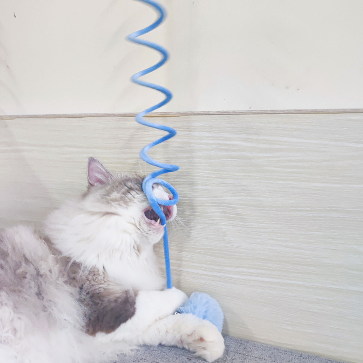 Interaktives Katzen Spiral Spielzeug