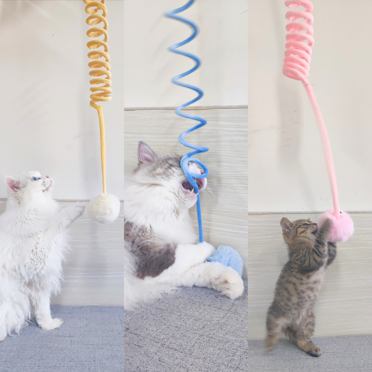 Interaktives Katzen Spiral Spielzeug