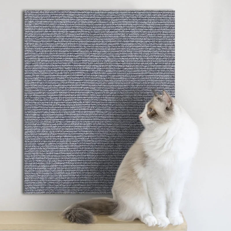 PawShield - Der unsichtbare Kratzschutz für deine Möbel
