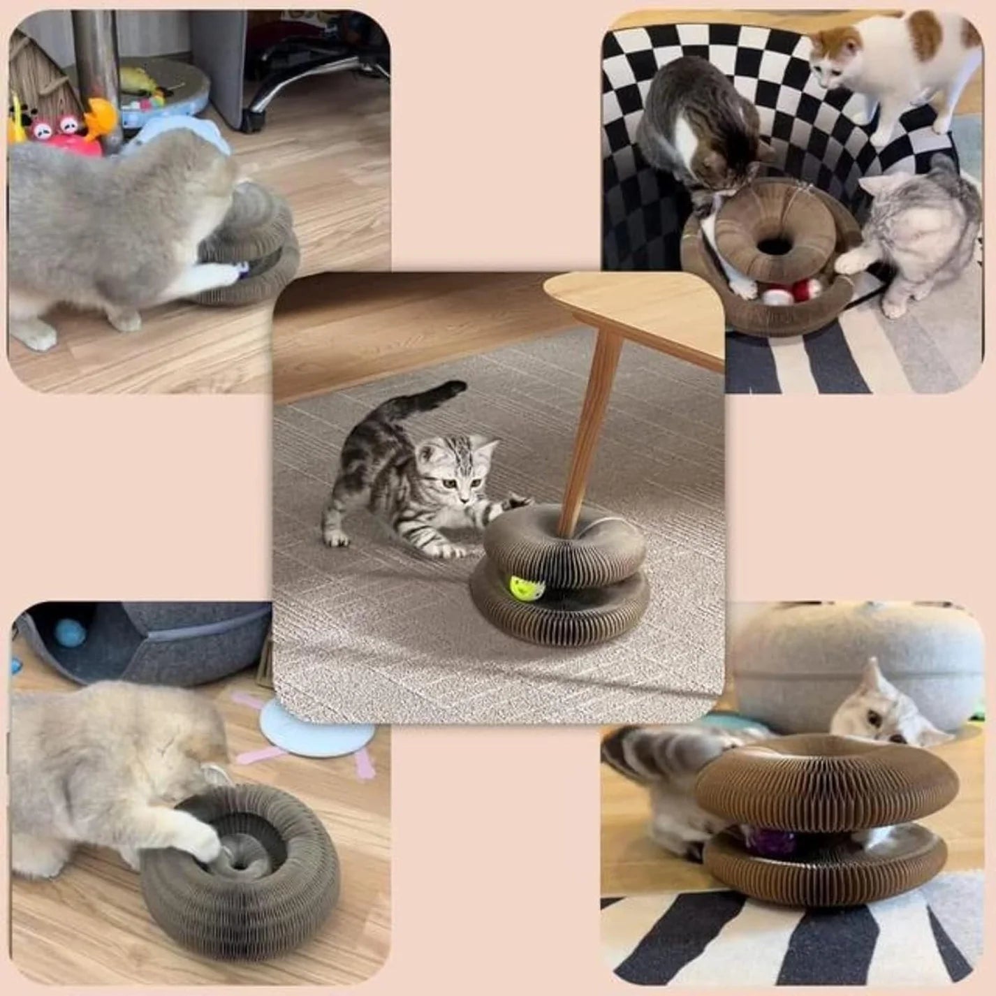 CurlTwist Katzenspaß