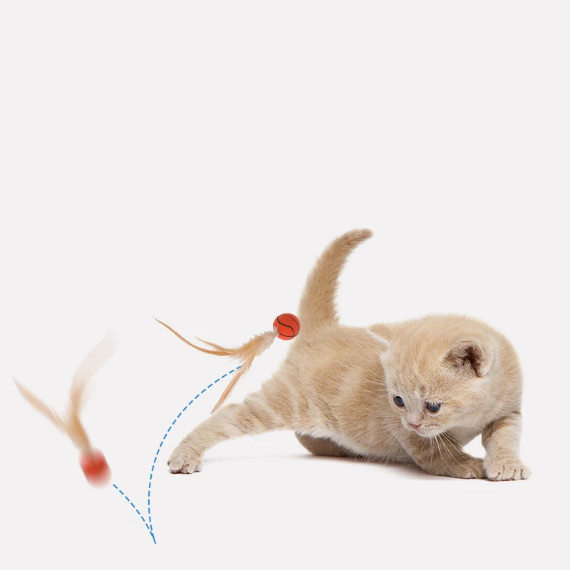 Katzen Federball 3er Set