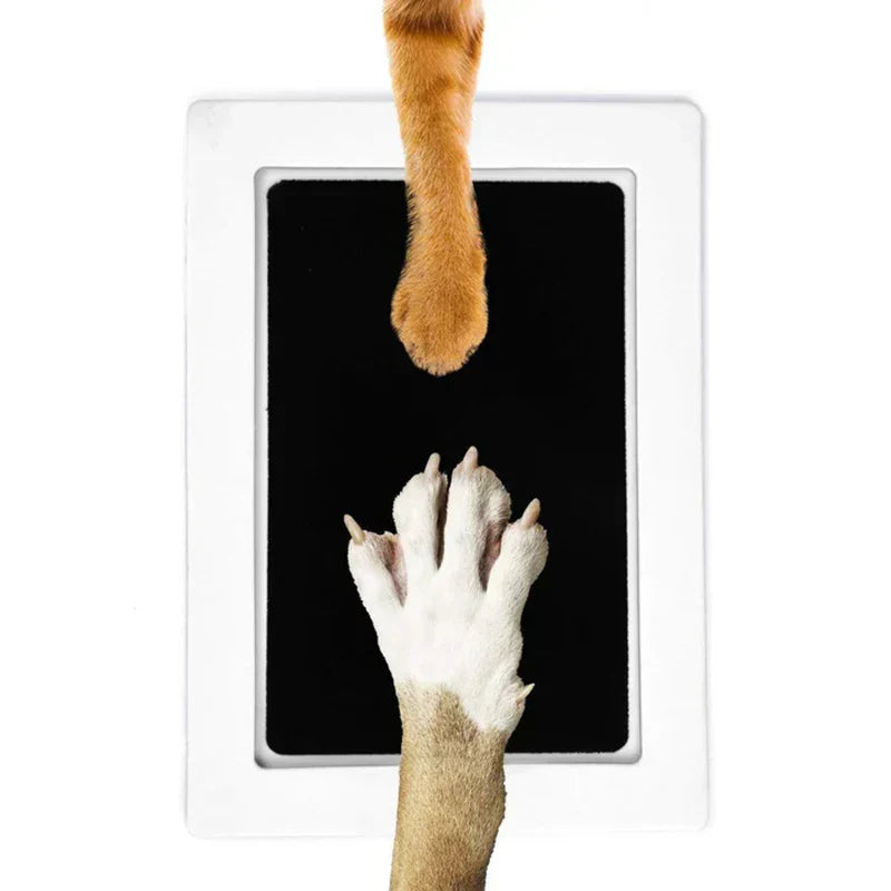 PawPrint - Dein Haustier für immer festgehalten