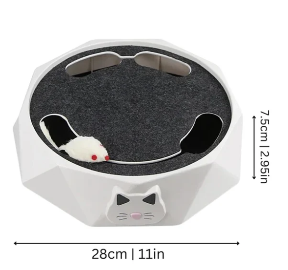 MäuseFieber - Aufregendes Katzen Spielzeug
