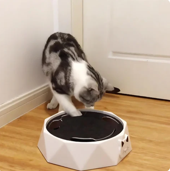 MäuseFieber - Aufregendes Katzen Spielzeug