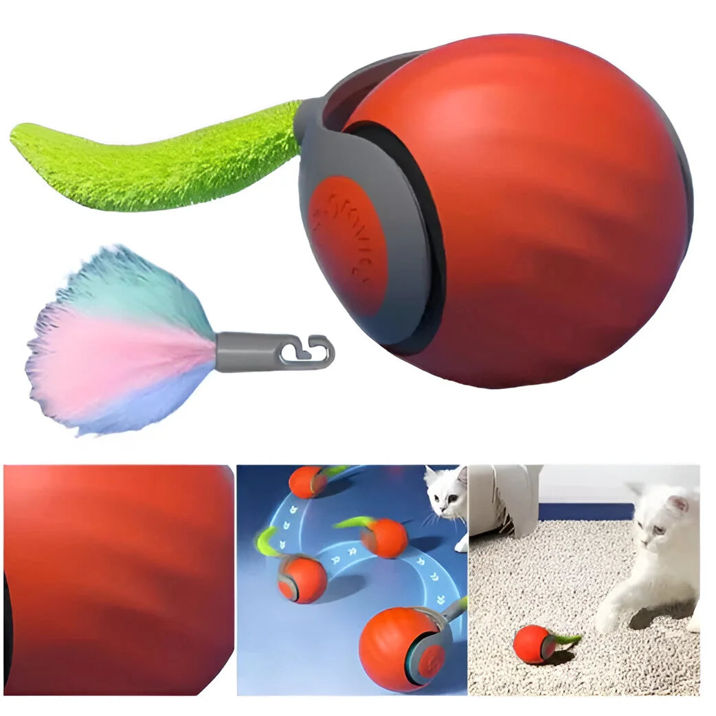 HuntBall – Rollender Katzen-Spielball mit Feder