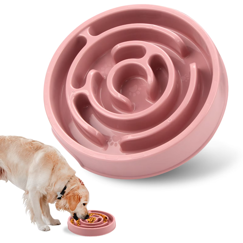 SlowFeeder - Anti-Schling-Napf