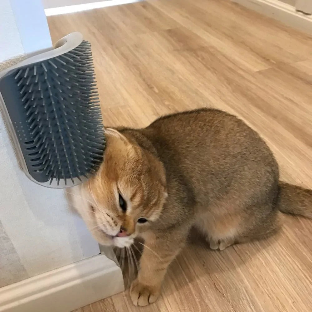ScratchFlex – Der flexible Kratzschutz für Katzen
