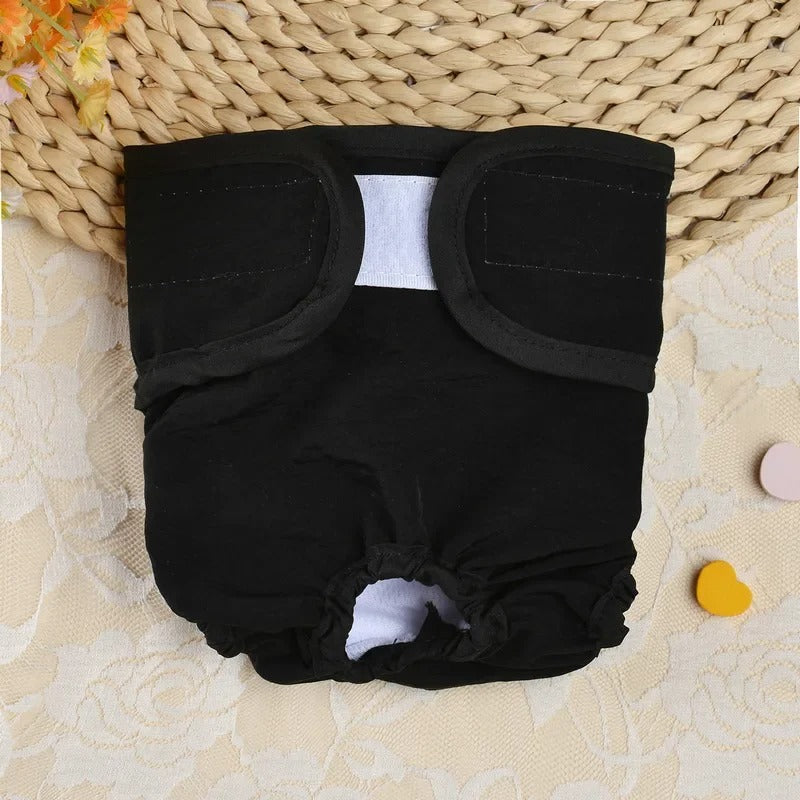BellaPants - Sicherer Schutz während der Läufigkeit