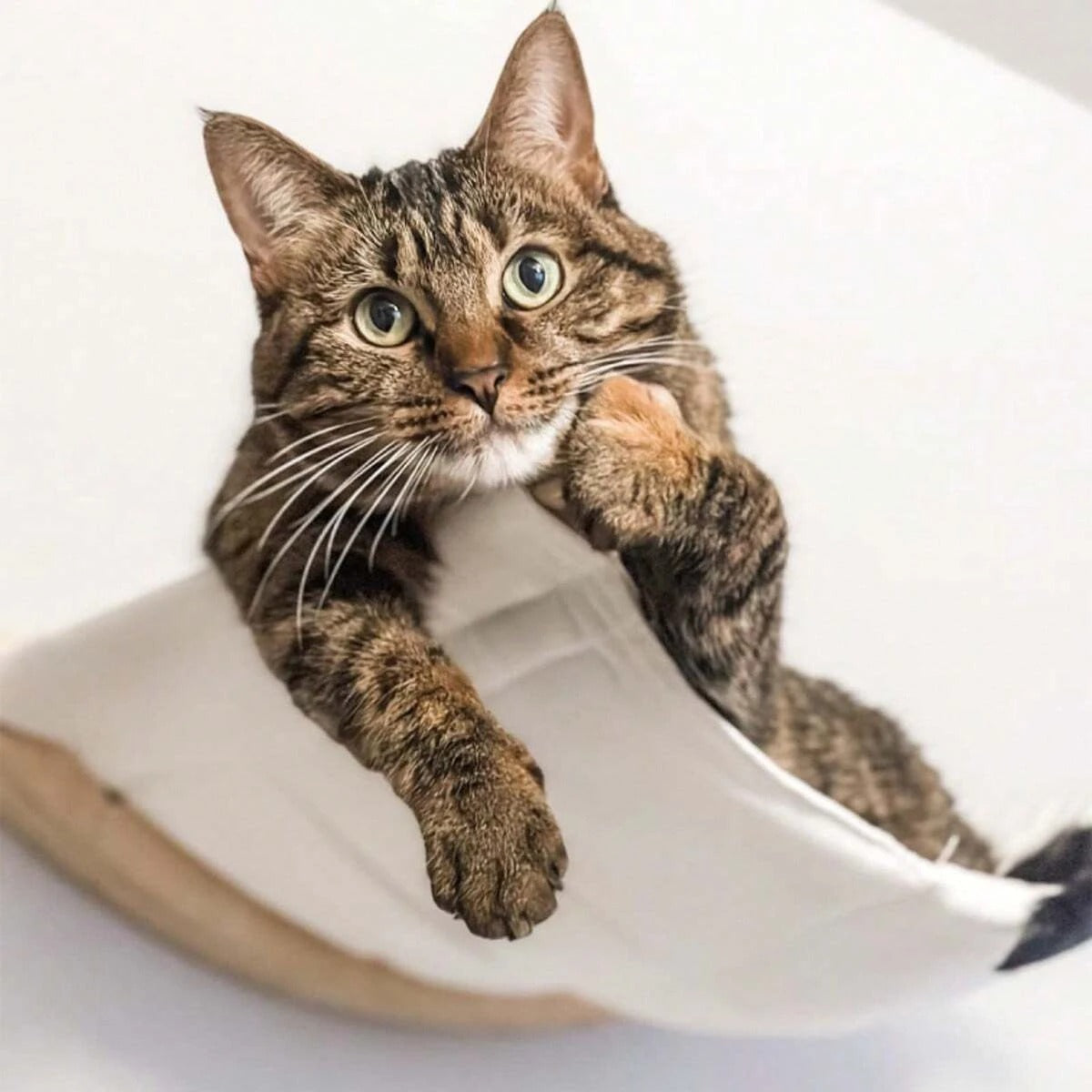 Katzen Hängematte