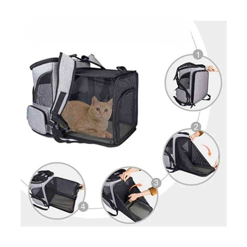 PawTrail: Atmungsaktive Transporttasche Katzen