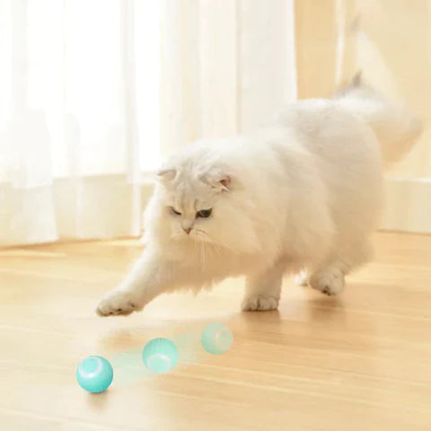 CatRoll Interaktiver Katzenspielzeugball