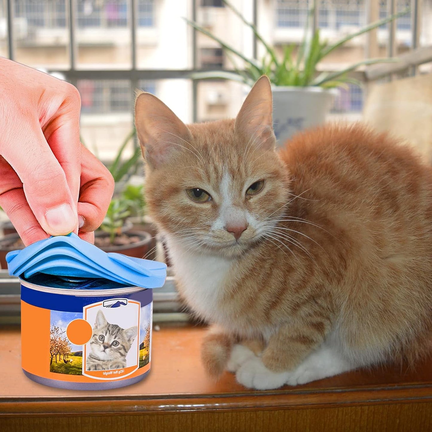 FreshPaw - Der luftdichte Deckel für frisches Hundefutter