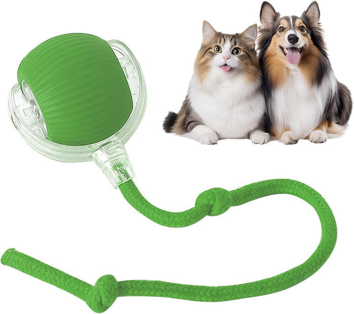 Balli - smart und leuchtend