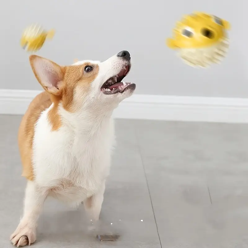 FeedFish Ball - Snackball für Hunde