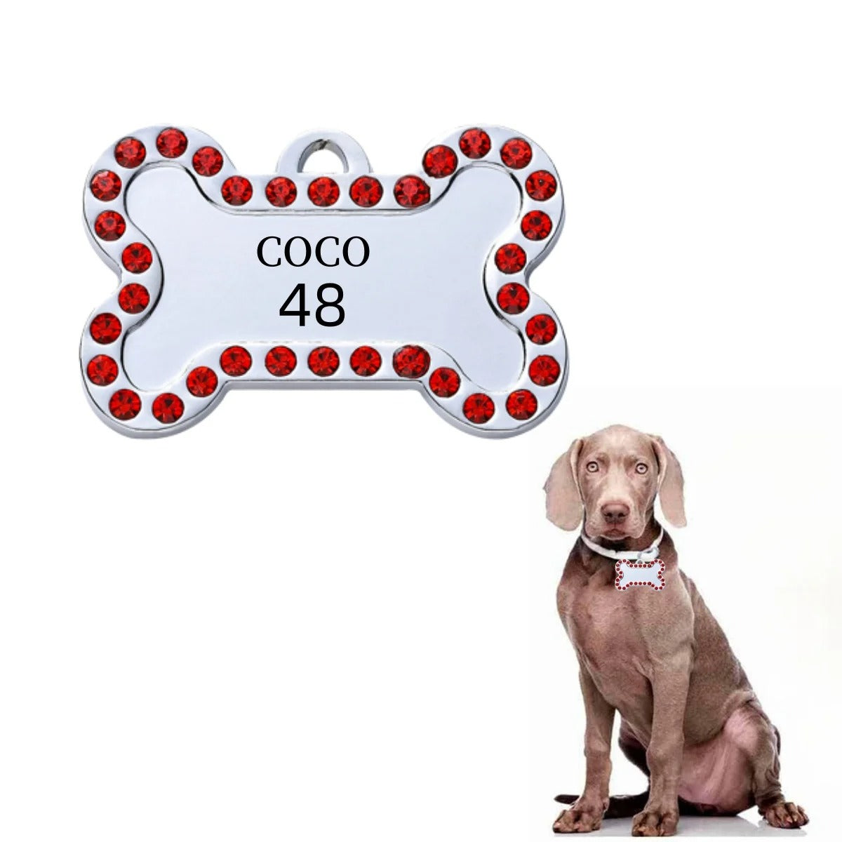 Bronzetail: Premium Hundemarke