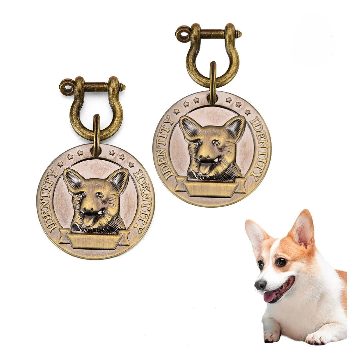 Bronzetail: Premium Hundemarke