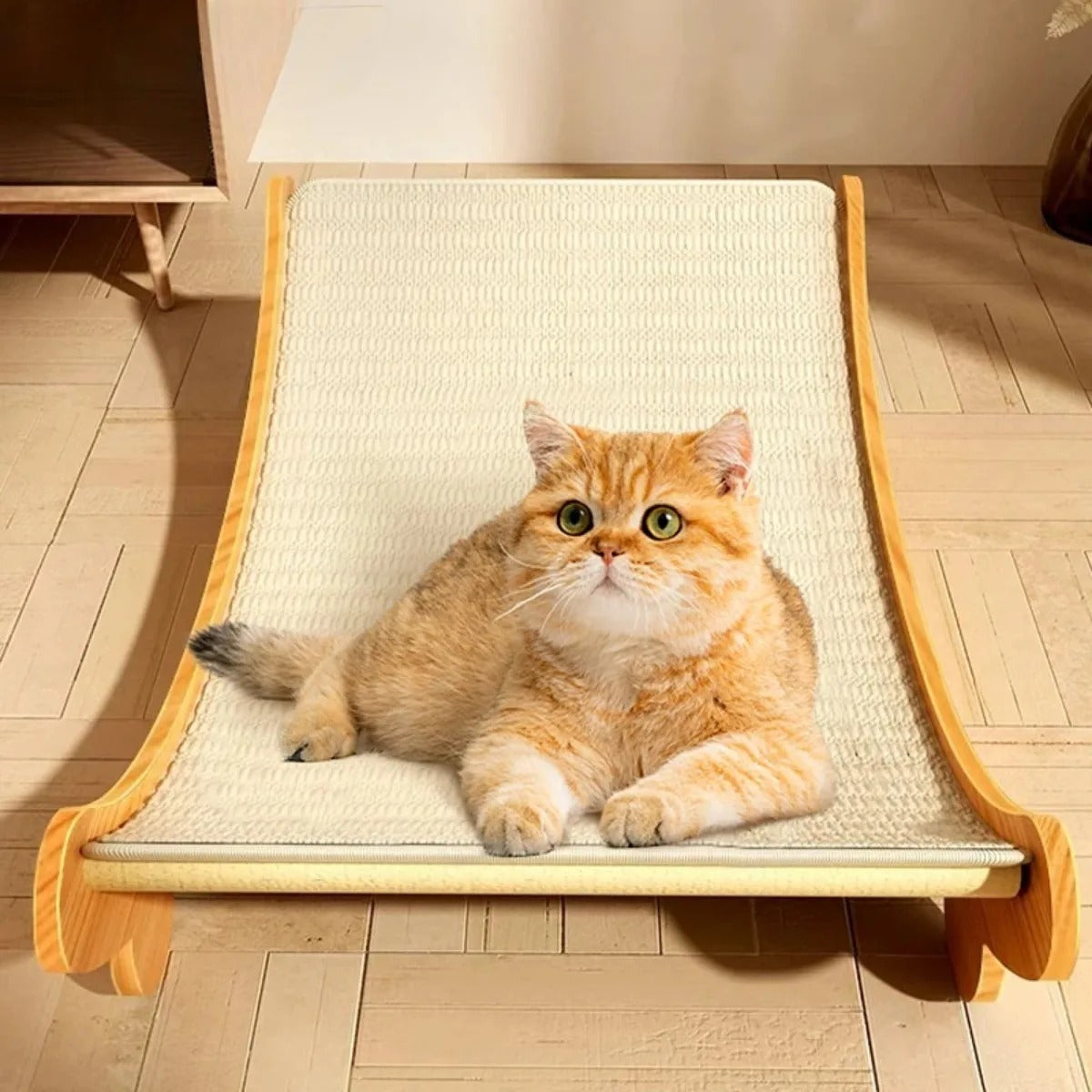 KratzZone: Katzen Kratzboard
