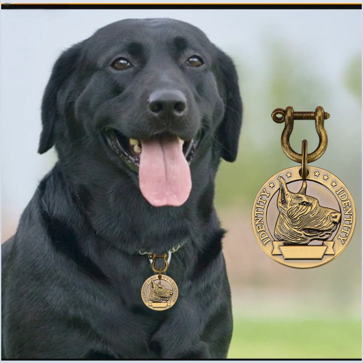Bronzetail: Premium Hundemarke
