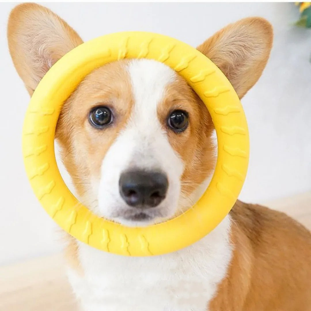 Apportierspielzeug - Bella’s Flugring