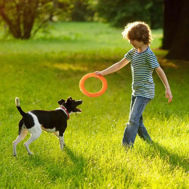 Apportierspielzeug - Bella’s Flugring
