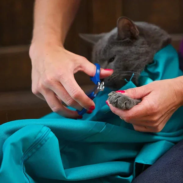 Bequeme Katzen Transporttasche