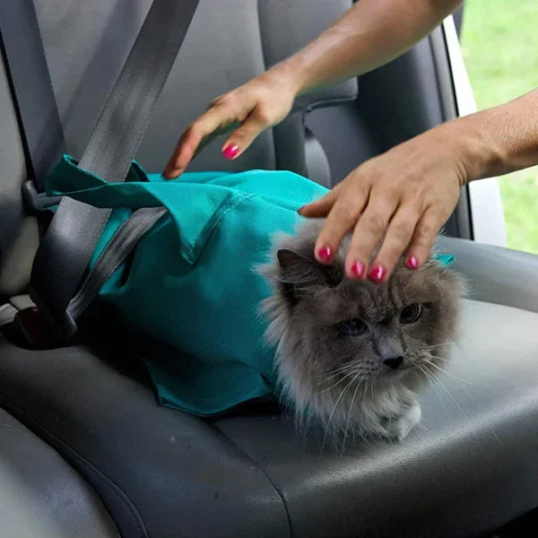 Bequeme Katzen Transporttasche